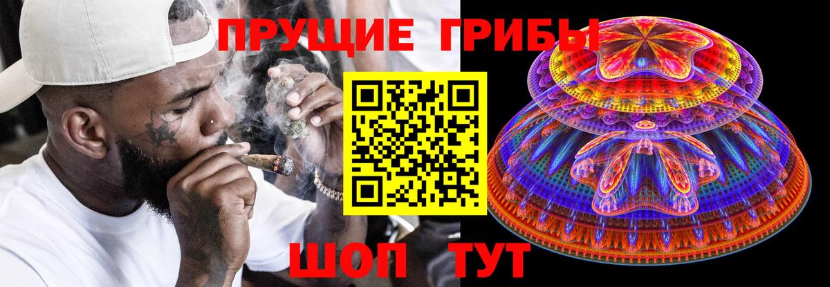 Галлюциногенные грибы Psilocybe  Вход с VPN  Надым 