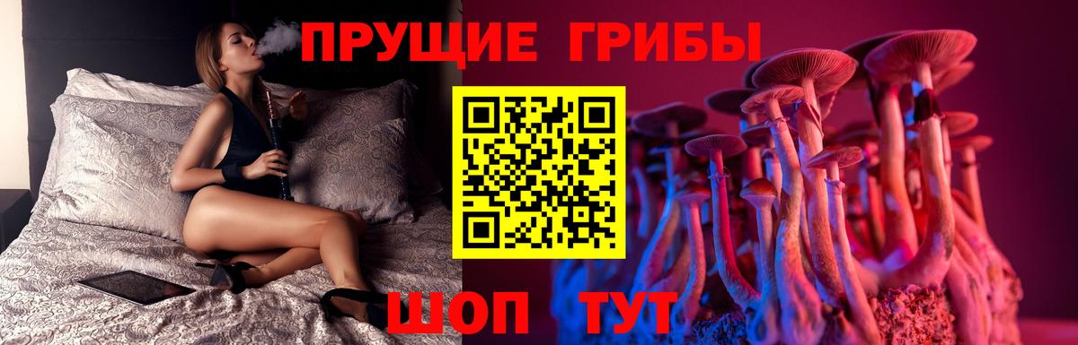 Галлюциногенные грибы MAGIC MUSHROOMS Надым